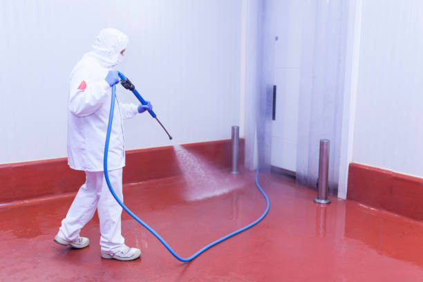Best Patio and Deck Pressure Washing  in Tioga Terrace, NY